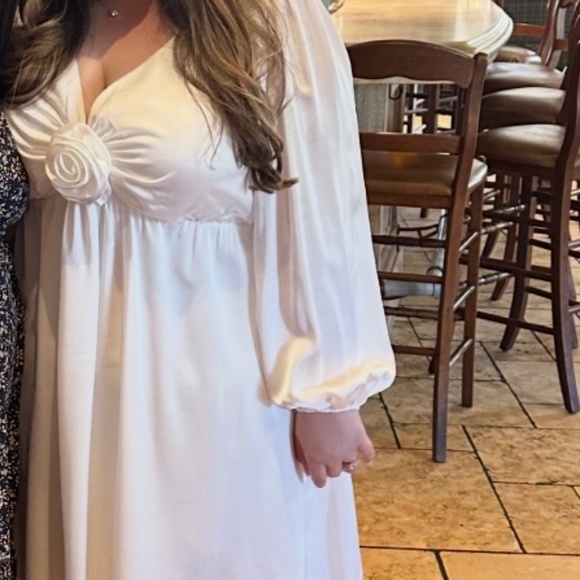 Rosetta Mini Dress - Picture 2 of 2